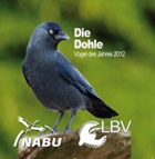 Vogel des Jahres