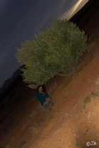 Nacht in der Wüste