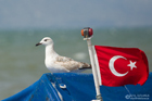 Türkei 2012