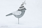 Weihnachtsvogel